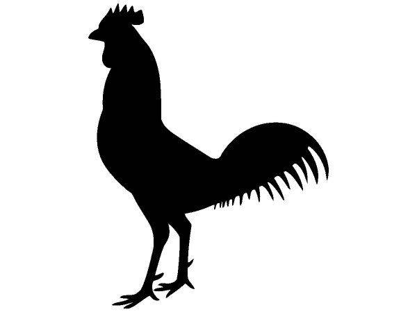 Животные 3953 Животные 3953