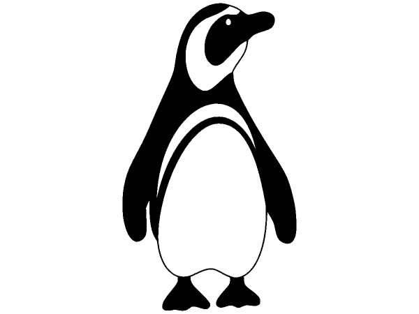 Пингвин 656