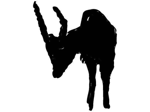 Животные 385