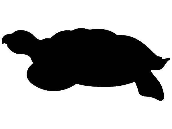 Животные 3620 Животные 3620