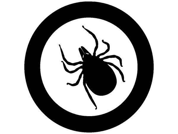 Животные 3195 Животные 3195