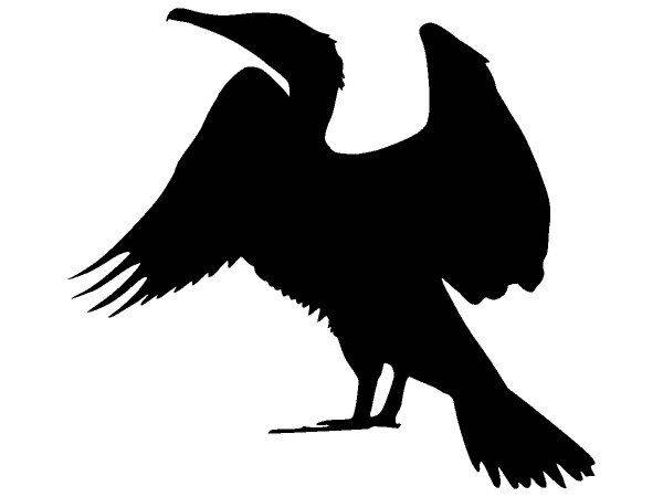 Животные 4258 Животные 4258