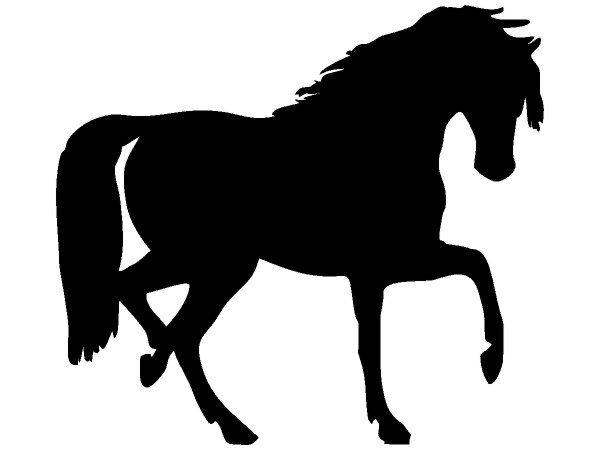 Животные 1727