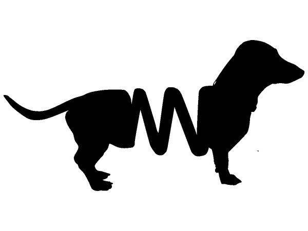 Животные 3269 Животные 3269