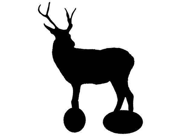 Животные 2191 Животные 2191