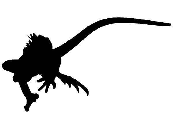 Животные 3219 Животные 3219