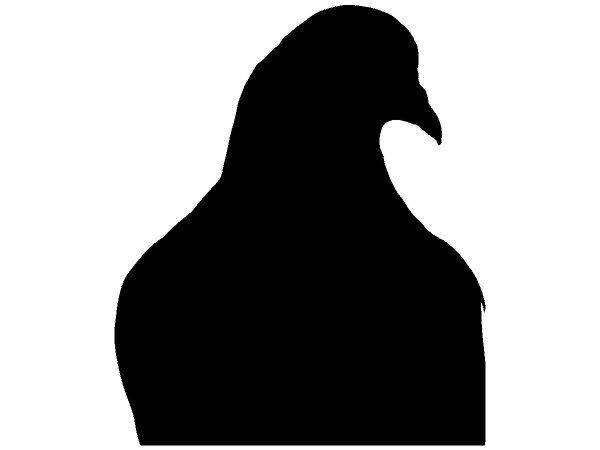 Животные 4246