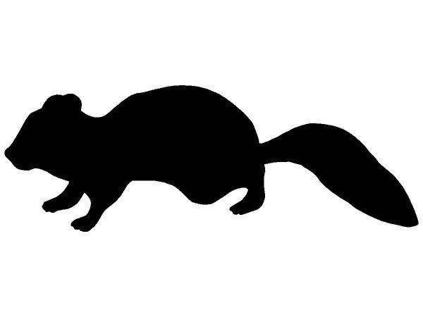 Животные 332