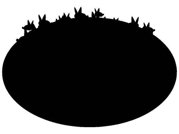 Животные 4055