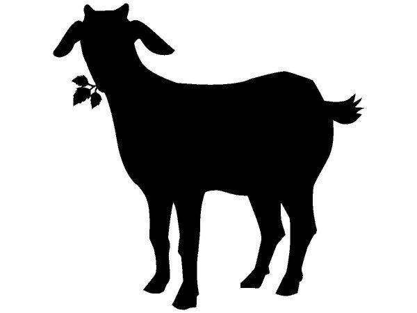 Животные 3174 Животные 3174