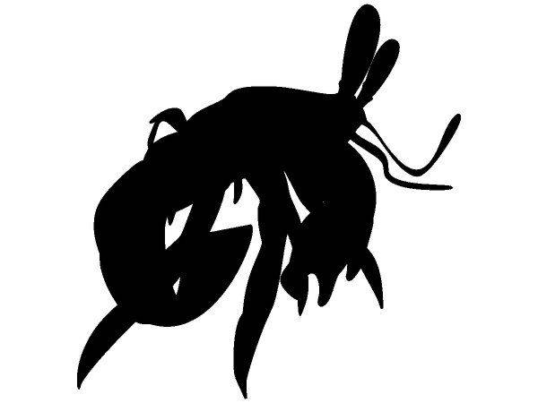 Животные 1388