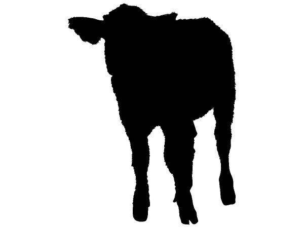 Животные 4203