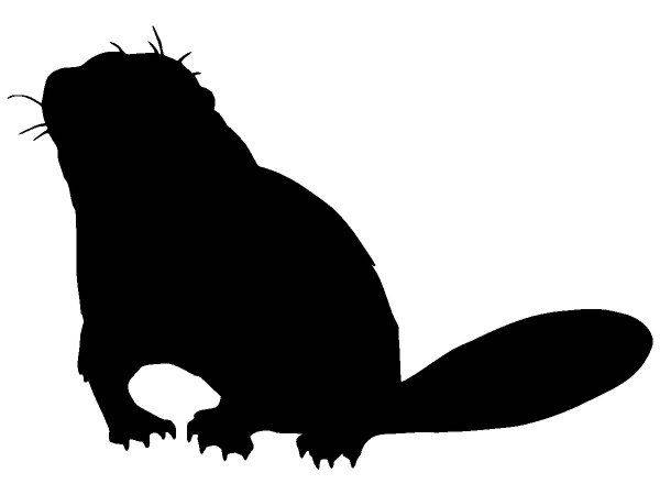 Животные 398