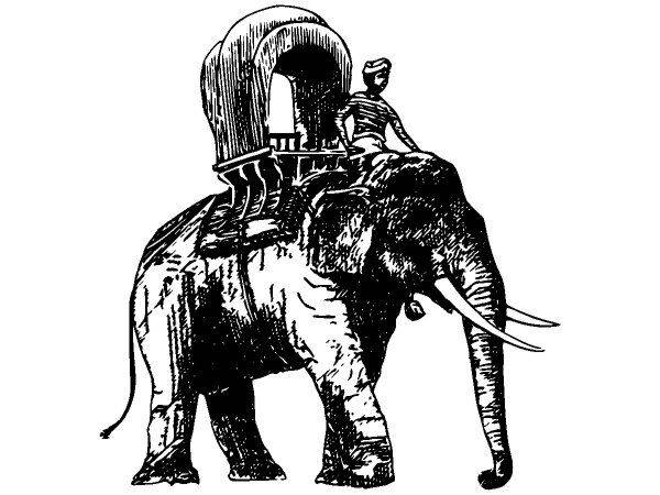 Животные 2727