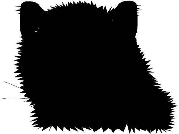 Животные 1557