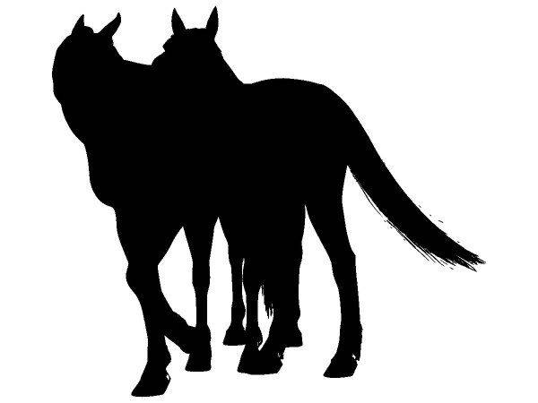 Животные 4010