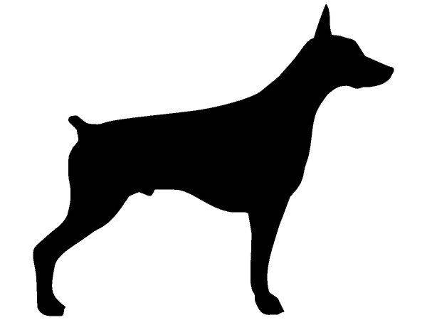 Животные 3120 Животные 3120