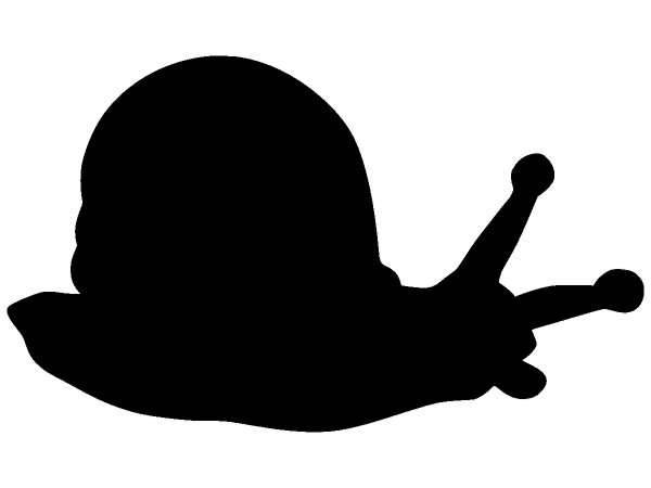 Животные 857