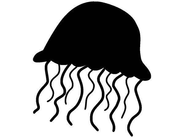 Животные 1200 Животные 1200