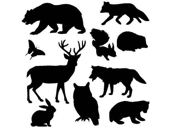 Животные 2705 Животные 2705