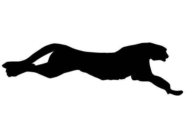 Животные 248