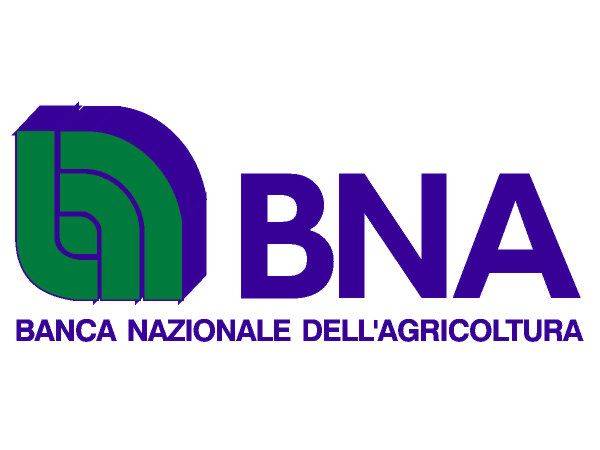 BNA logo
