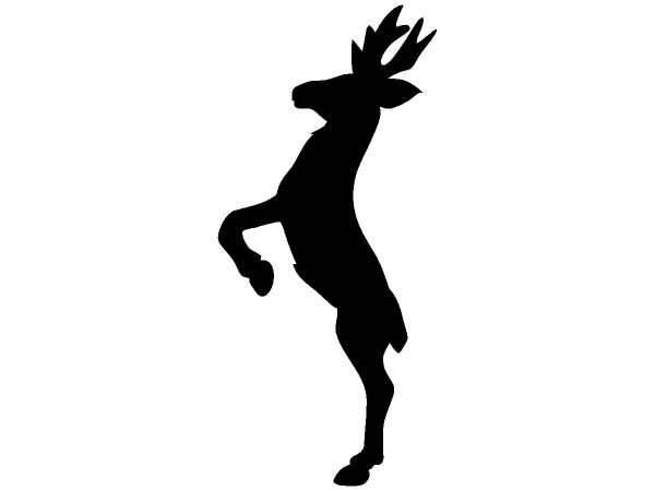 Животные 157