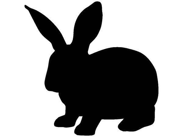 Животные 3306 Животные 3306