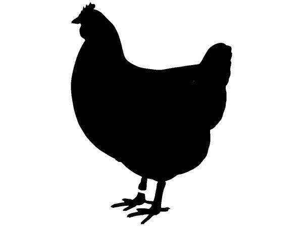 Животные 2667 Животные 2667