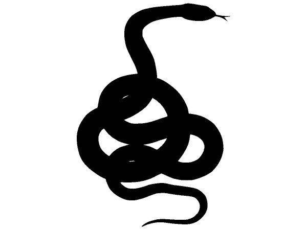 Животные 4031