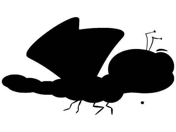 Животные 2529