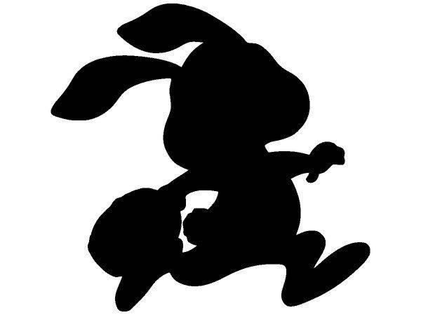 Животные 2341