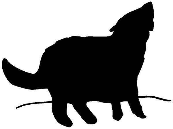 Животные 321