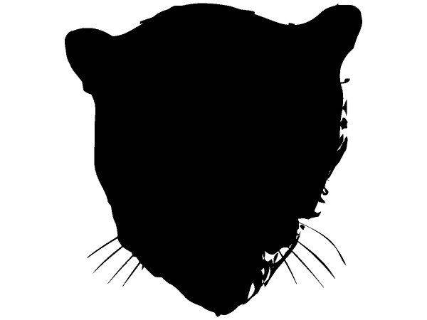 Животные 58 Животные 58