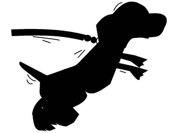 Животные 2518