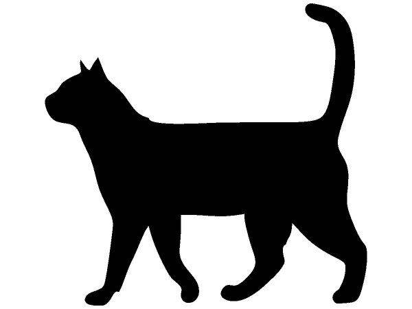 Животные 3291 Животные 3291