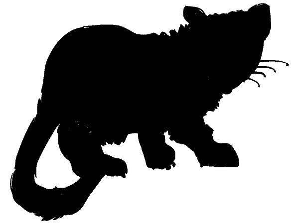 Животные 372 Животные 372