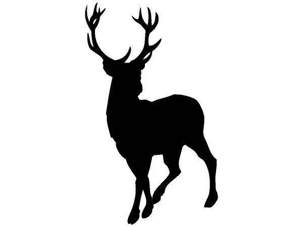 Животные 712 Животные 712