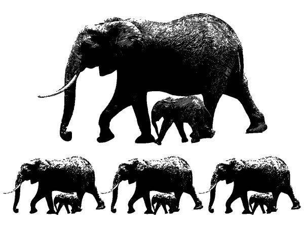 Животные 2266 Животные 2266