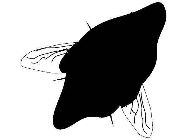 Животные 755 Животные 755