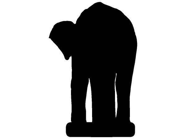 Животные 2181 Животные 2181