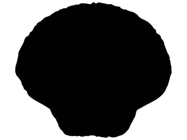 Животные 2248 Животные 2248