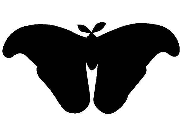 Животные 3486 Животные 3486