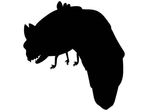 Животные 4149