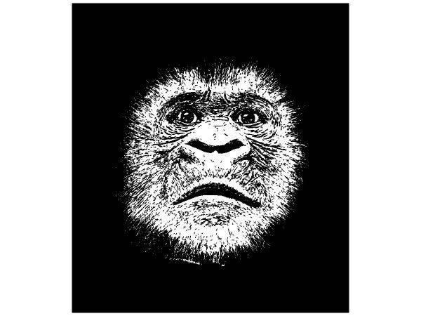 Животные 243