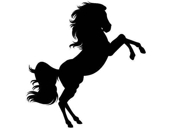 Животные 3571