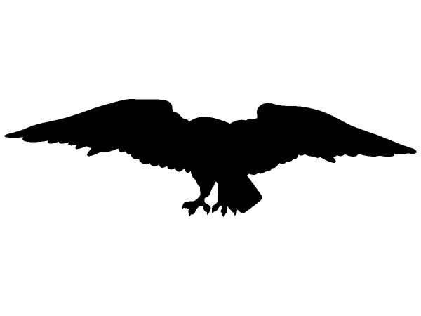 Животные 1223