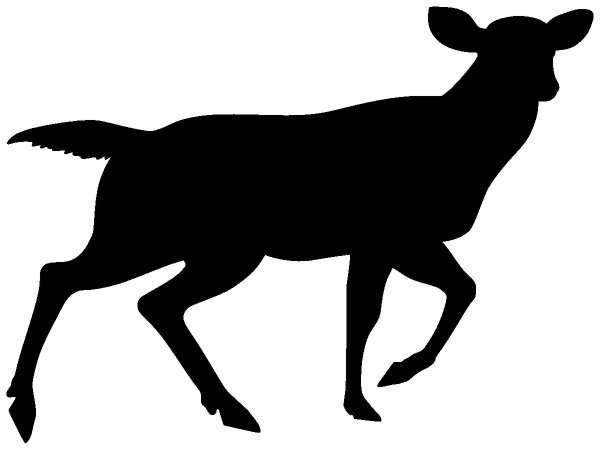 Животные 392