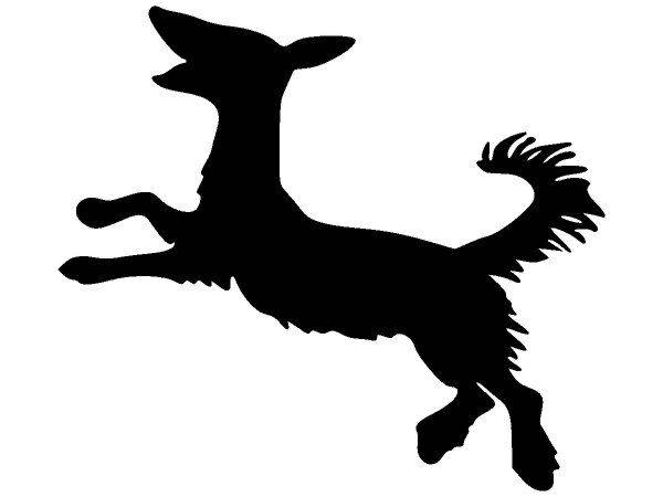 Животные 3997