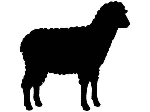 Животные 372